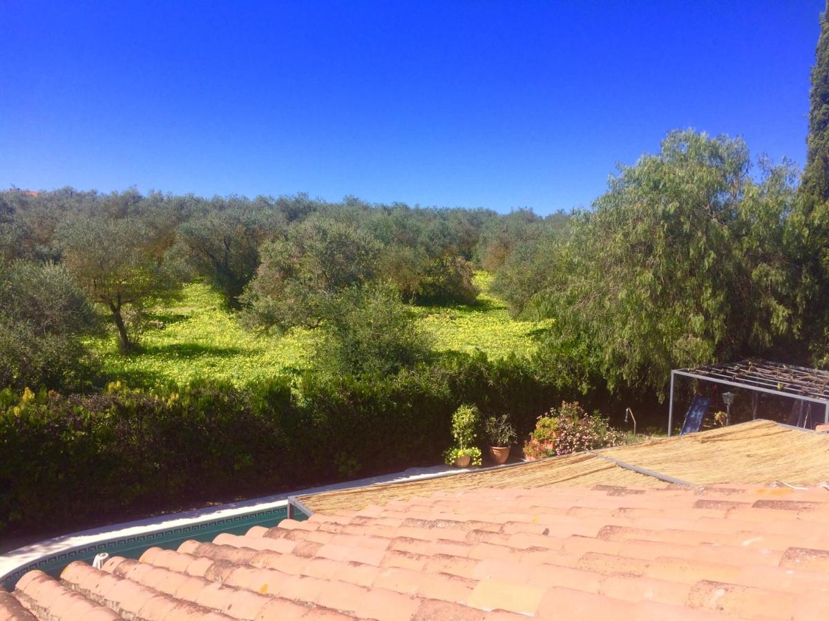 Villa Ferrer Sevilla Gines Luaran gambar